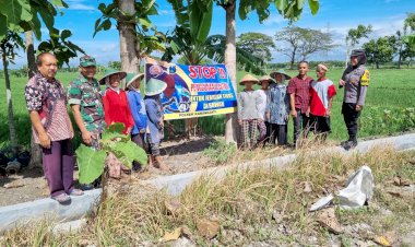 Dukung-Ketahanan-Pangan-Polwan-Polres-Ngawi-Didapuk-Sebagai-Polisi-Wirotani
