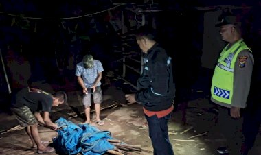 Polres-Nganjuk-Bongkar-Tempat-Judi-Sabung-Ayam-di-Kecamatan-Ngronggot