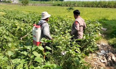 Anggota-Polsek-Prambon-Tinjau-Program-Ketahanan-Pangan-di-Sawah-Warga
