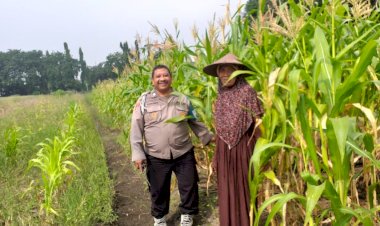 Polisi-Dukung-Ketahanan-Pangan-Petani-Jagung-di-Desa-Betro