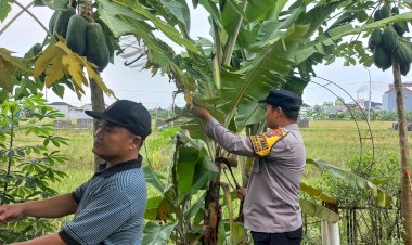 Kompak,-Polisi-dan-Perangkat-Desa-Bantu-Warga-Penggerak-Ketahanan-Pangan-di-Desa-Masangan-Kulon