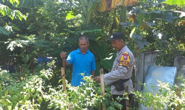 Bhabinkamtibmas-Dorong-Ketahanan-Pangan-Lewat-Budidaya-Sayur-di-Lahan-Fasum-Desa-Kepuhkiriman