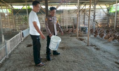 Bhabinkamtibmas-Buduran-Dampingi-Peternak-Bebek-Wujudkan-Ketahanan-Pangan