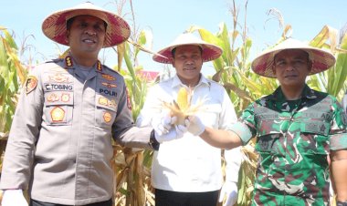 Kabupaten-Sidoarjo-Dukung-Swasembada-Pangan,-Panen-Raya-Jagung-Kuartal-III-di-Balongbendo