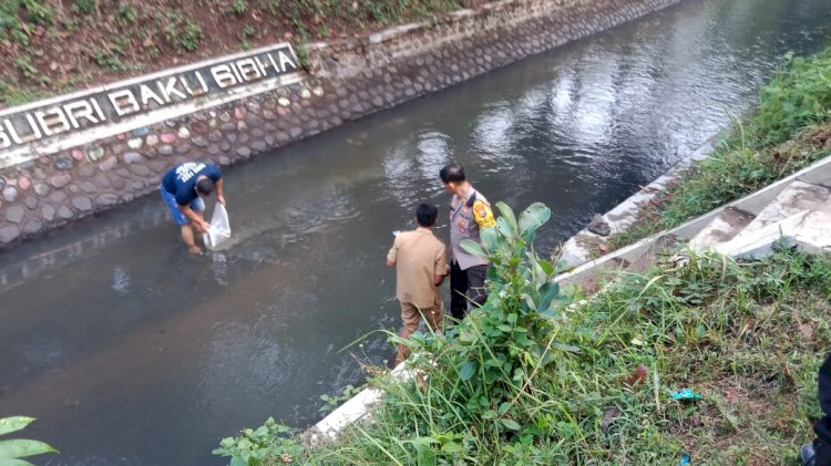 Polisi Bersama Perangkat Desa Tebar 10.000 Bibit Ikan di Bondowoso,Wujudkan Ketahanan Pangan