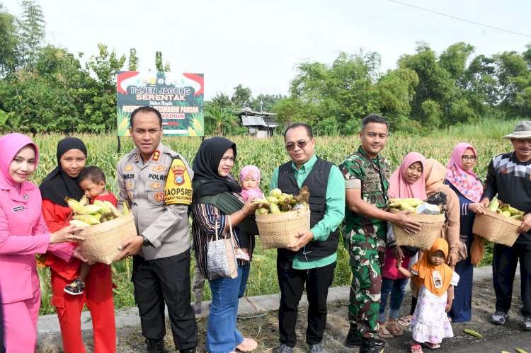 Polres Madiun Kota Panen Raya Jagung Untuk Dukung Ketahanan Pangan Nasional