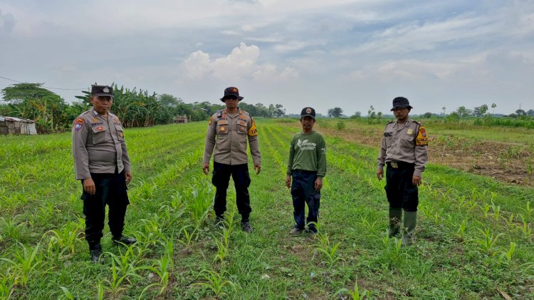 Siapkan Pekarangan Pangan Bergizi di Bakungtemenggungan Balongbendo