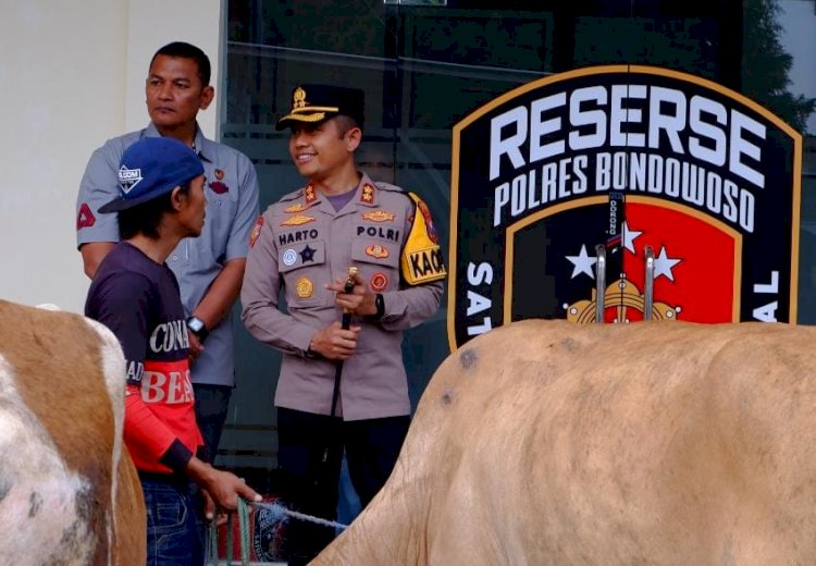 Polres Bondowoso Berhasil Temukan dan Kembalikan 3 ekor Sapi yang Hilang Pemilik Tersenyum Riang