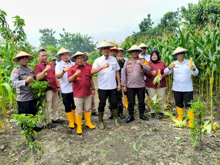 Kapolsek Porong dan Warga Gelar Panen Raya Jagung di Pekarangan Bergizi Lapas Kelas I Surabaya