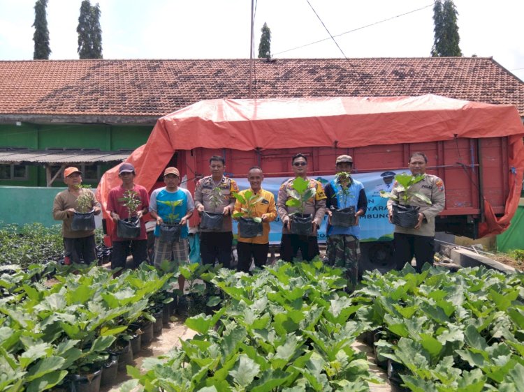 Gotong Royong Distribusikan Bibit Hortikultura di Desa Lemujut