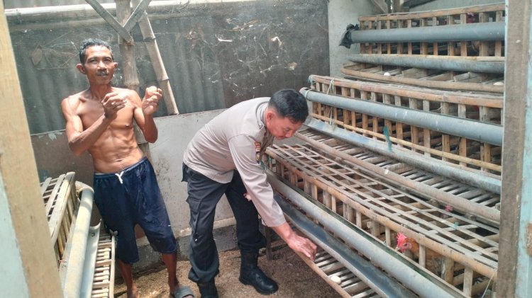 Bhabinkamtibmas Desa Jatikalang Polsek Krian Tinjau Peternakan Ayam Petelur