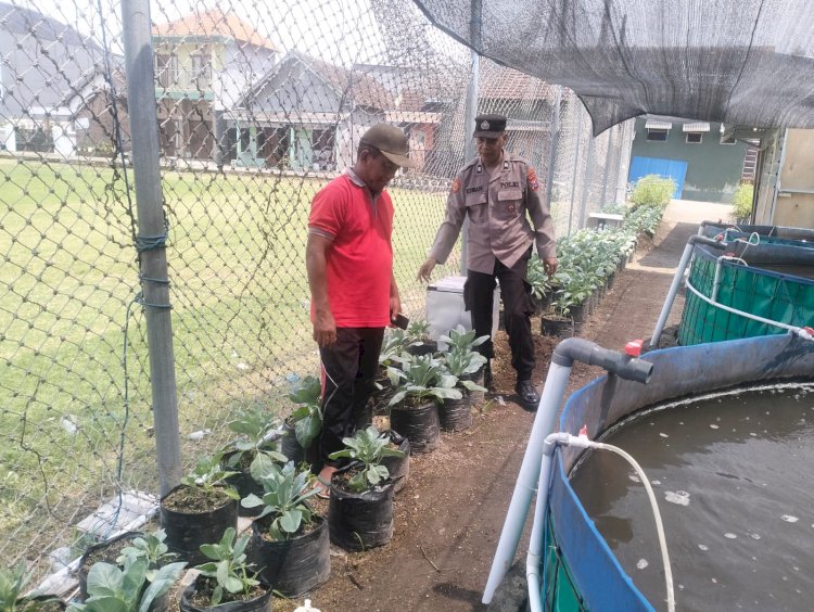 Polsek Buduran Optimalisasi Pengelolahan Lahan Peternakan dan Sayur untuk Ketahanan Pangan