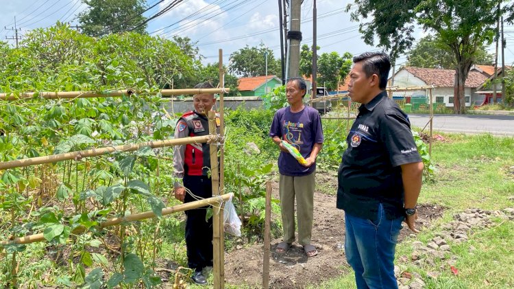 Personel Polsek Balongbendo Berikan Bantuan Bibit Jagung kepada Petani