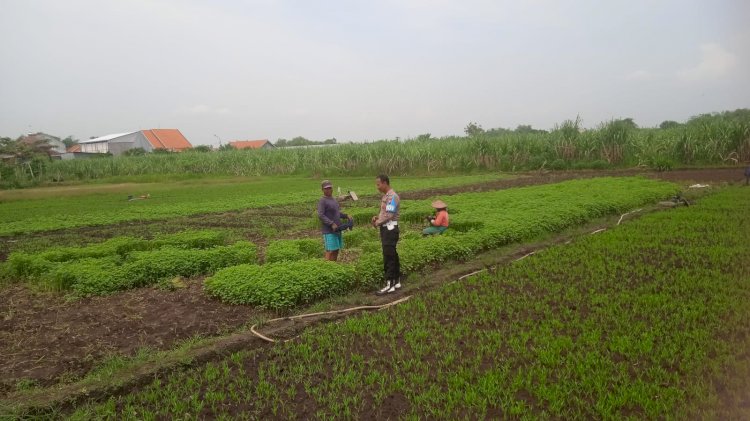 Bhabinkamtibmas Desa Gampang Cek Pekarangan Pangan Bergizi