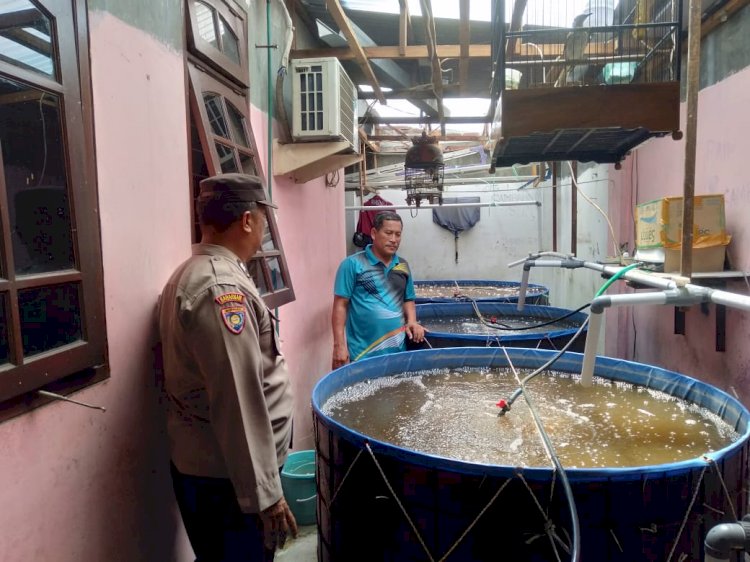 Bhabinkamtibmas Polsek Tulangan Polresta Sidoarjo melaksanakan peninjauan budidaya ikan lele di Desa Pangkemiri