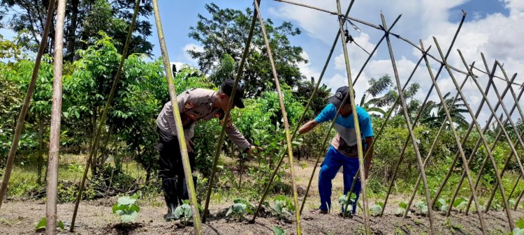 Polri dalam hal ini Polda Jatim khususnya Bhabinkamtibmas Desa Sambibulu