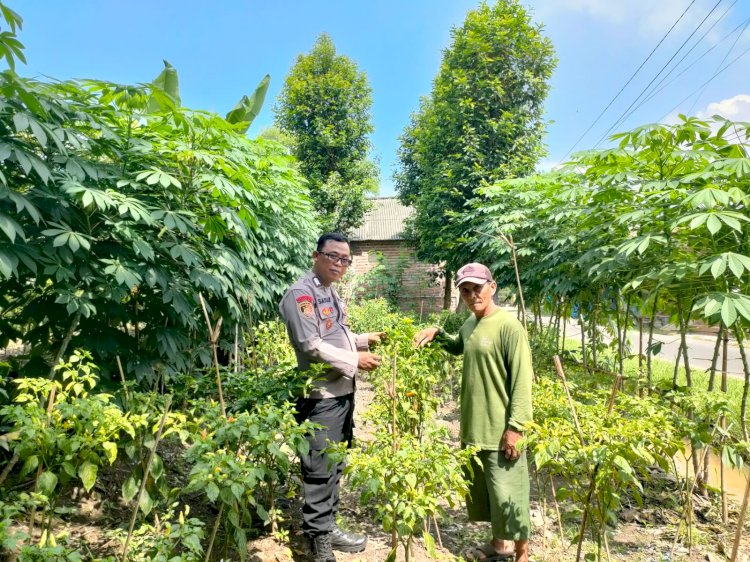 Polsek Prambon Dukung Semangat Petani Sukseskan Ketahanan Pangan Polresta Sidoarjo