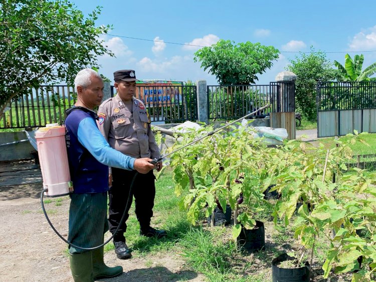 Bhabinkamtibmas Tinjau Pekarangan Pangan Bergizi di Desa Bakung Temenggungan