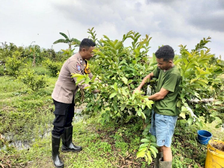 Polsek Taman Pantau Tanaman Hortikultura untuk Hasil Optimal