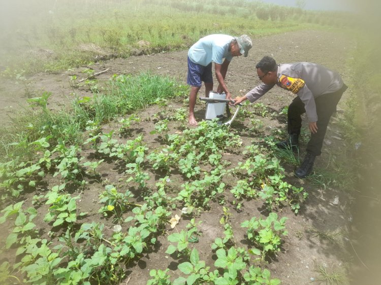 Bhabinkamtibmas Wonoplintahan Prambon Ajak Warga Seriusi Tanaman Sayur