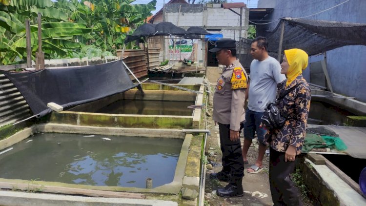 Bhabinkamtibmas Tanjungsari Cek Budidaya Lele Dukung Ketahanan Pangan Polresta Sidoarjo