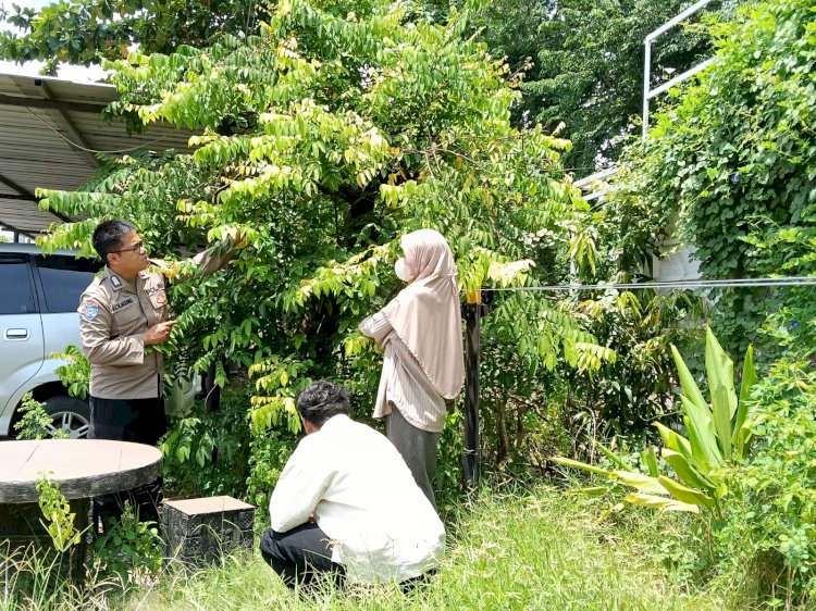 Polsek Waru Masifkan Peran Bhabinkamtibmas Cek Perkembangan Tanaman Ketahanan Pangan