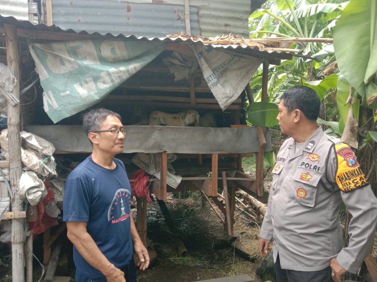 Bhabinkamtibmas Candi Cek Peternakan Kambing Dukung Ketahanan Pangan Polresta Sidoarjo