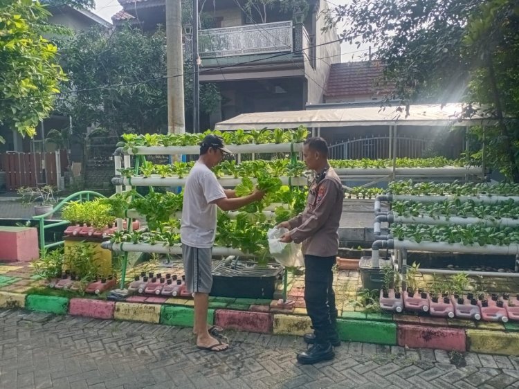 Bhabinkamtibmas Desa Larangan Cek Ketahanan Pangan dengan Hidroponik