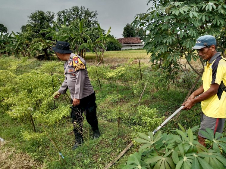 Warga Kedungsukodani Peduli Ketahanan Pangan Polresta Sidoarjo