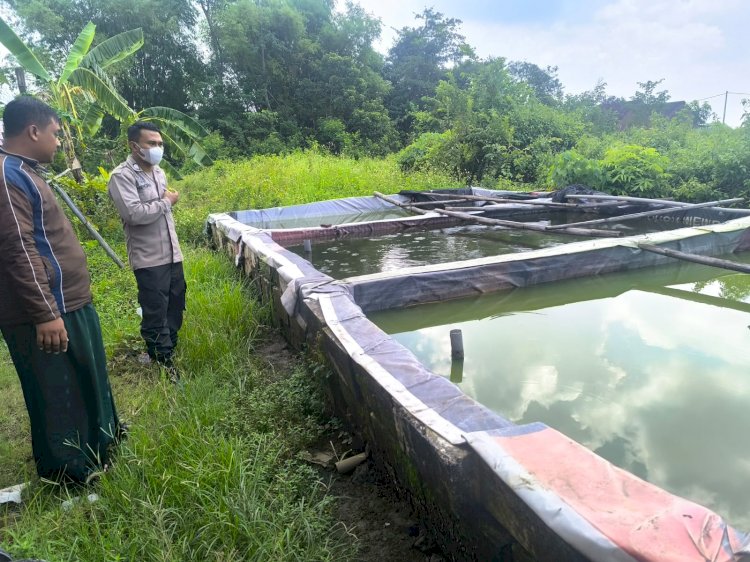 Polsek Tarik Dampingi Warga Kedungbocok Budidaya Ikan Lele